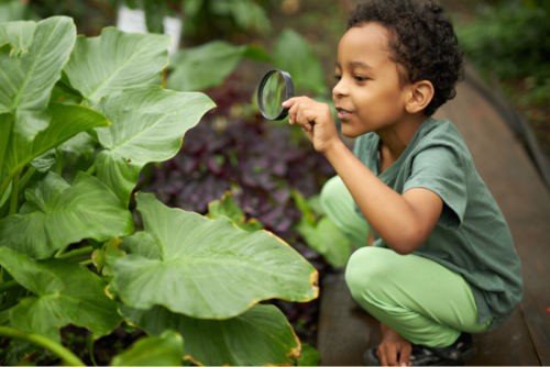 Quelles activités nature faire avec des enfants ?